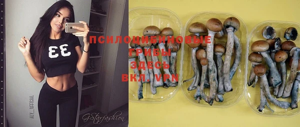 PSILOCYBIN Володарск