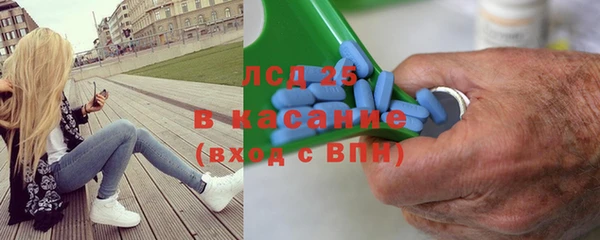 PSILOCYBIN Волосово