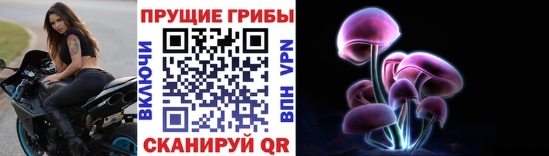 hydra tor  Славянск-на-Кубани  Псилоцибиновые грибы Cubensis 